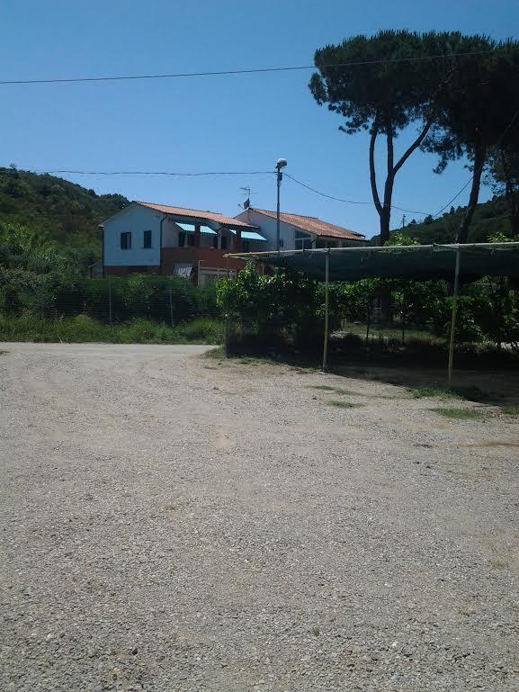 Hotel Rustichello Marina di Campo Eksteriør bilde